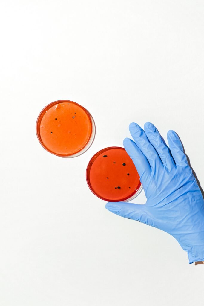 A close-up of a gloved hand holding petri dishes for microbiological research.